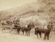 Wells Fargo Express Deadwood Treasure Wagon Photograph by John Grabill