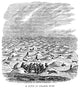 Prairie Dogs on the American Plains - Wood Engraving Print