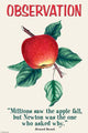 Millions Saw the Apple Fall - Poster Print by Bernard Baruch