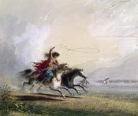 Shoshone Woman on Horseback Fine Art Print by Alfred Jacob Miller