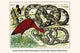Python regius, Python reticulatus, Eudocimus ruber, Trichixos pyrrophyga Fine Art Print by Albertus Seba