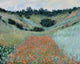 Monet's Poppy Field Fine Art Print - Oil on Canvas | Posterazzi