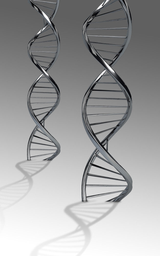Conceptual DNA Artwork Fine Art Print - Available in Multiple Sizes