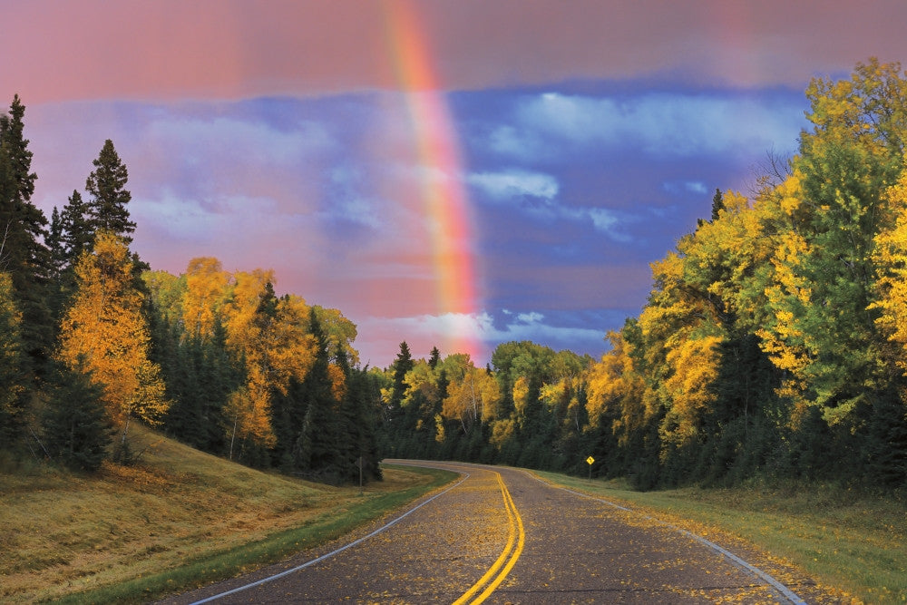 Rainbow After Storm Fine Art Print - Prince Albert National Park by Jaynes Gallery