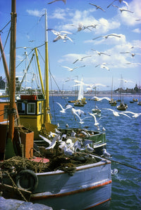 Fishing Boat Fine Art Print - Perfect for Home or Office