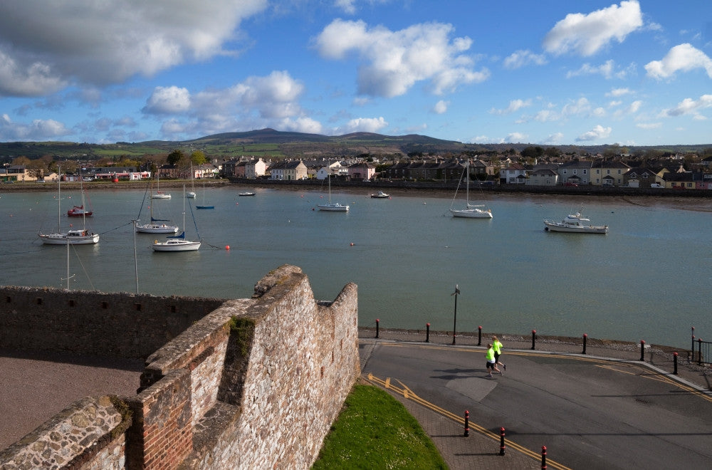 View from King John's Castle, Dungarvan, County Waterford, Ireland Photo Print by Panoramic Images
