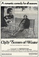 Chilly Scenes of Winter Movie Poster Print - 27x40