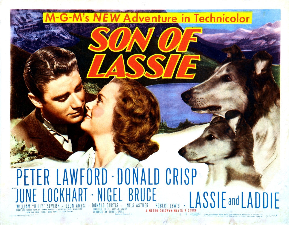 Son Of Lassie Photo Print - Classic Film Still