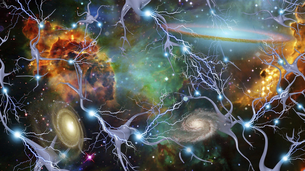 Brain Cells and Deep Space Fine Art Print by Bruce Rolff