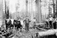 Wisconsin Logging Scene Fine Art Print from 1886 by Granger Collection