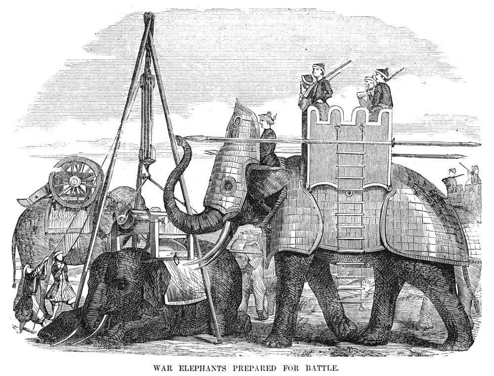 Burma: War Elephant 1855 Wood Engraving Fine Art Print by Granger Collection