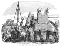 Burma: War Elephant 1855 Wood Engraving Fine Art Print by Granger Collection