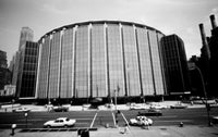 Madison Square Garden Poster Print - USA New York City