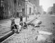 New York: Dead Horse Fine Art Print by Joseph Byron, 1900-06