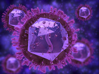 Microscopic View of Herpes Virus Fine Art Print