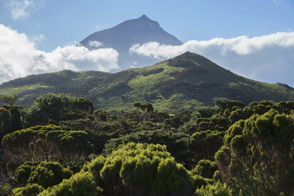 Pico Mountain Fine Art Print - Pico Island, Azores, Portugal
