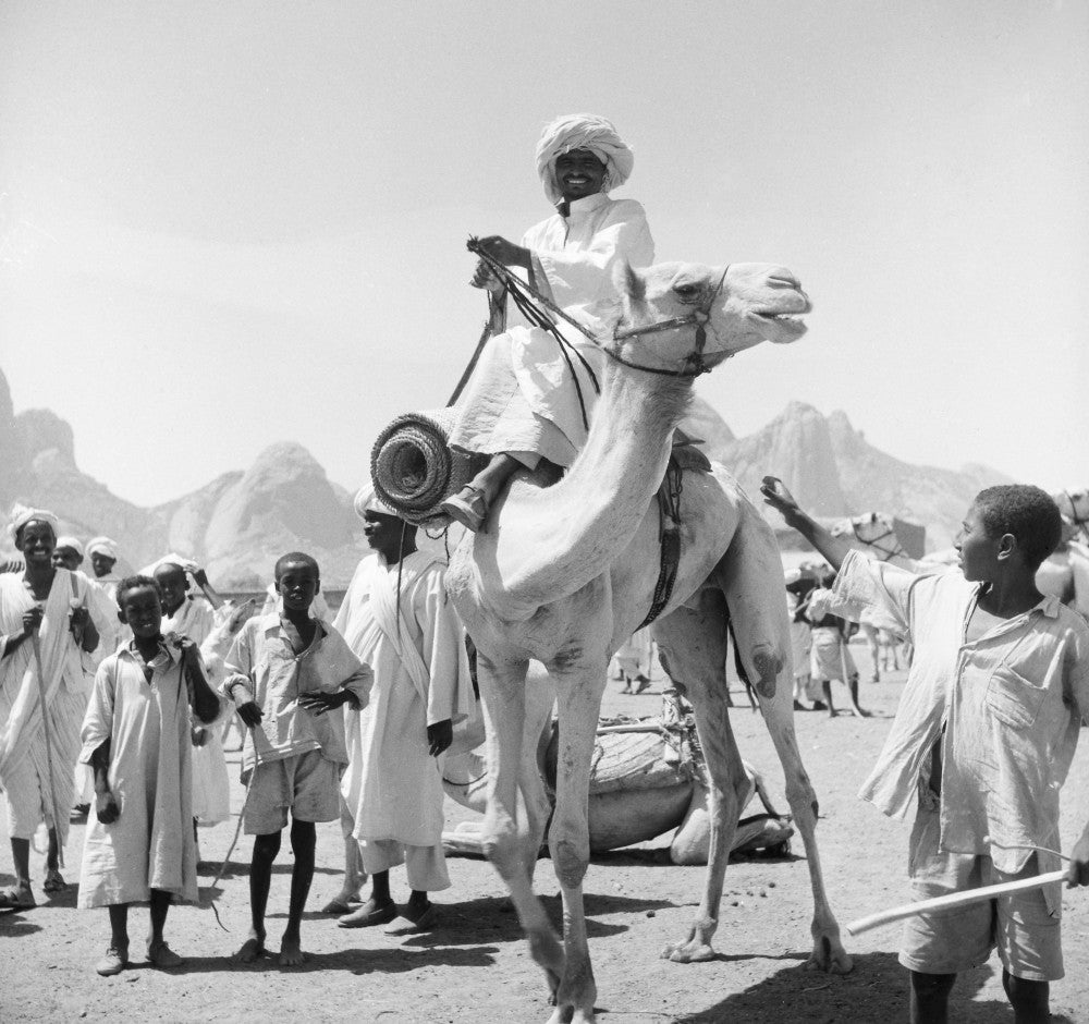 Sudan: Nomadic Zebeida Tribe at Kassala Cattle Market Fine Art Print by Granger Collection