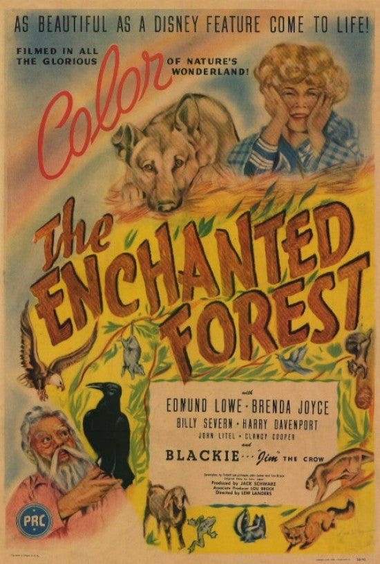 The Enchanted Forest Movie Poster Print - 27x40