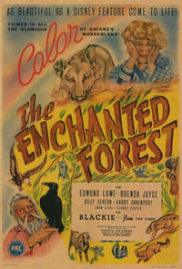 The Enchanted Forest Movie Poster Print - 27x40