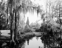 Nashley Hall Magnolia-On-The-Ashley Fine Art Print - South Carolina, C1915