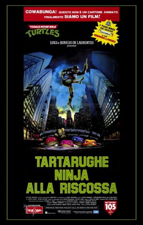 Teenage Mutant Ninja Turtles Movie Poster - 11x17 Print