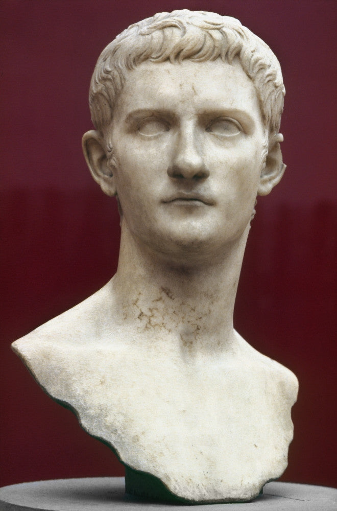 Caligula Roman Marble Bust Fine Art Print by Granger Collection