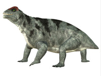 Moschops Dinosaur Fine Art Print - Primeval Herbivore