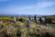 Stone Circles at Ardcroom, Co. Cork Fine Art Print by The Irish Image Collection