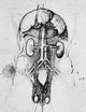 Leonardo da Vinci Kidney Study Fine Art Print - 1504-07