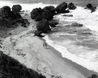 Barbados Fine Art Poster Print - Custom Sizes Available