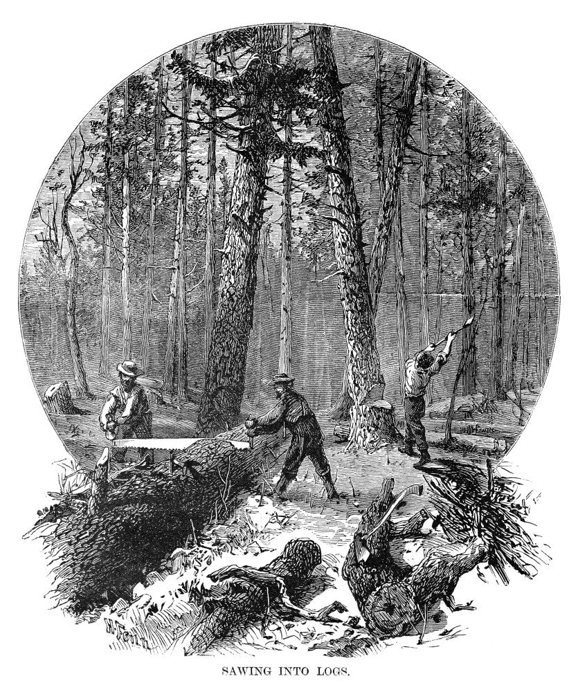 Minnesota Logging Scene Fine Art Print - 1870 Wood Engraving by Granger Collection