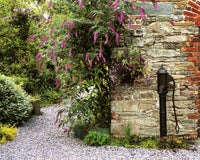 Old Water Pump Fine Art Print - Ram House Garden, Ireland