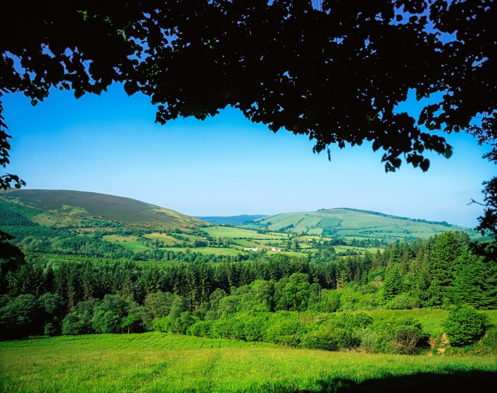Co Offaly Near Kinnity Fine Art Print - Slieve Bloom Mountains, Ireland by The Irish Image Collection