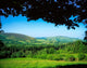 Co Offaly Near Kinnity Fine Art Print - Slieve Bloom Mountains, Ireland by The Irish Image Collection