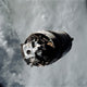 The Lunar Module Spider Fine Art Print - Apollo 9 Mission