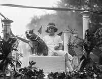 Sergeant Stubby Parade Float Photograph - 1921 Fine Art Print
