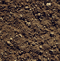 Agricultural Closeup of Clay Soil Fine Art Print - Monterey County, California