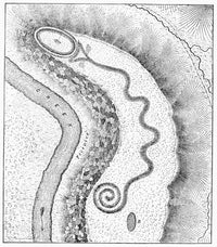 Great Serpent Mound Fine Art Print - 19th Century Line Engraving
