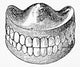 Dentures Engraving Art Print - 1853 by Granger Collection