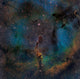 IC 1396 Elephant Trunk Nebula Fine Art Print by Michael Miller