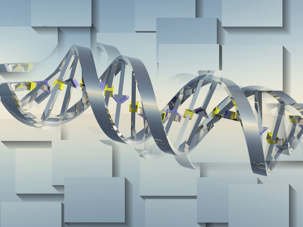 DNA Chain Digital Art Print by Bruce Rolff | Stocktrek Images