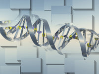 DNA Chain Digital Art Print by Bruce Rolff | Stocktrek Images