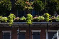 French Quarter New Orleans Louisiana Photo Print by Panoramic Images - 18x12