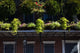French Quarter New Orleans Louisiana Photo Print by Panoramic Images - 18x12