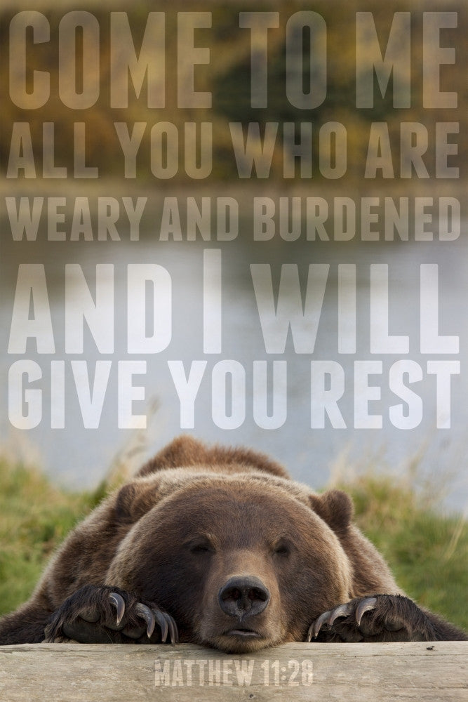 Bear Resting on Log with Scripture Fine Art Print by Tim Antoniuk