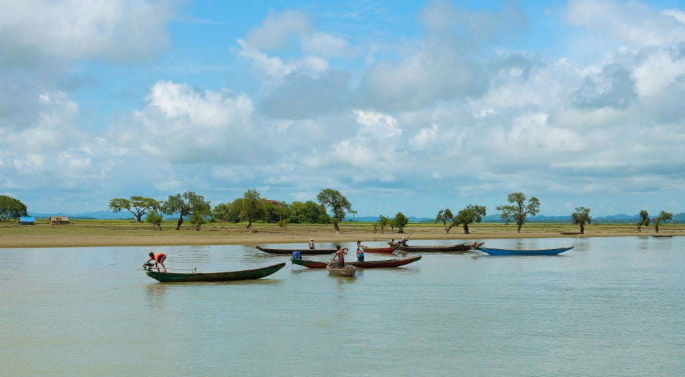 Fisherman on Kaladan River Fine Art Print | Posterazzi