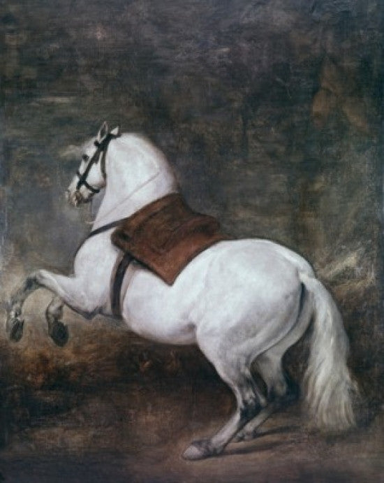 A White Horse Fine Art Print by Diego Velazquez