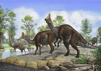 Amurosaurus Riabinini Dinosaurs Grazing in Prehistoric Wetlands Poster Print