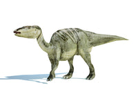 Edmontosaurus Dinosaur 3D Rendering Fine Art Print