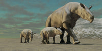 Paraceratherium Mother with Twin Calves Fine Art Print